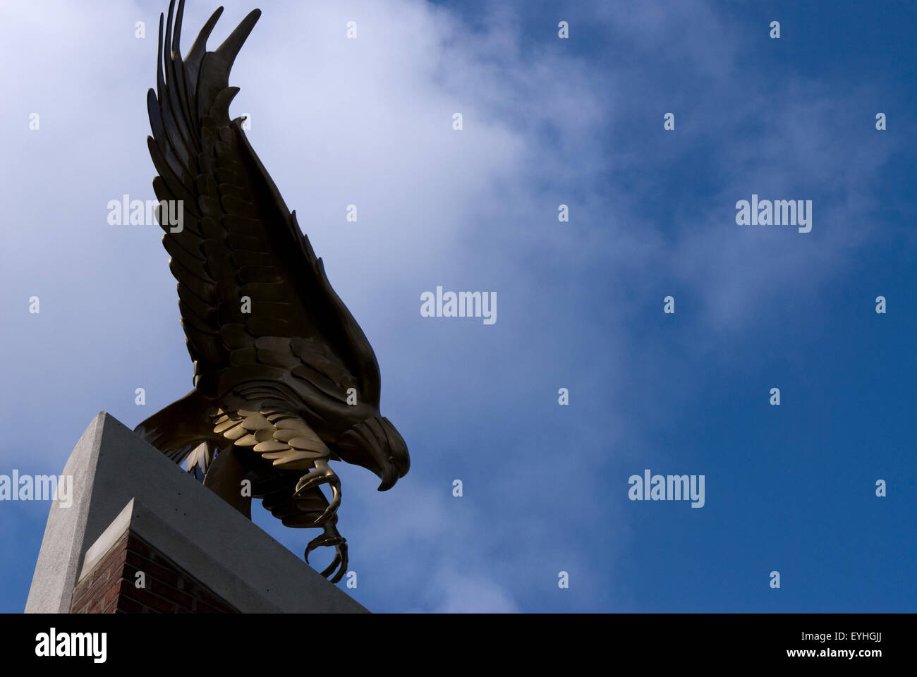 Eagle statua Winthrop University Rock Hill, SC, Stati Uniti d'America. Foto Stock