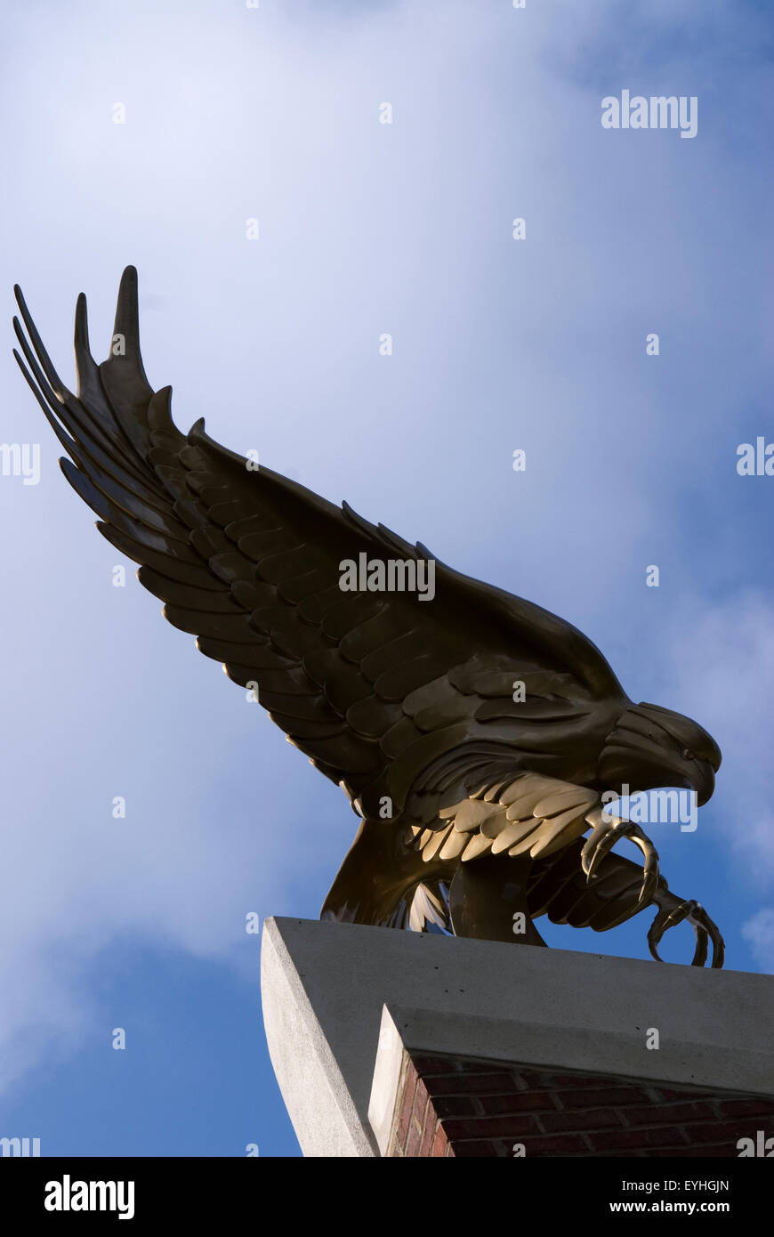 Eagle statua Winthrop University Rock Hill, SC, Stati Uniti d'America. Foto Stock