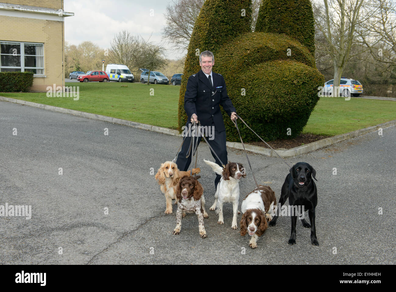 Un istruttore presso la Polizia Metropolitana di scuola del cane con i cani che hanno appena completato un rilevamento di sostanze stupefacenti corso Foto Stock