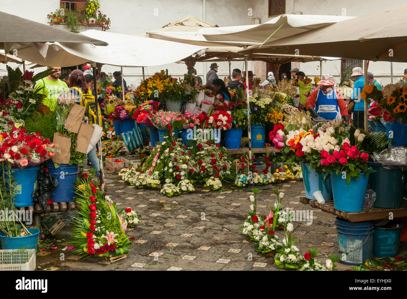 Il mercato dei fiori, Cuenca, Ecuador Foto Stock