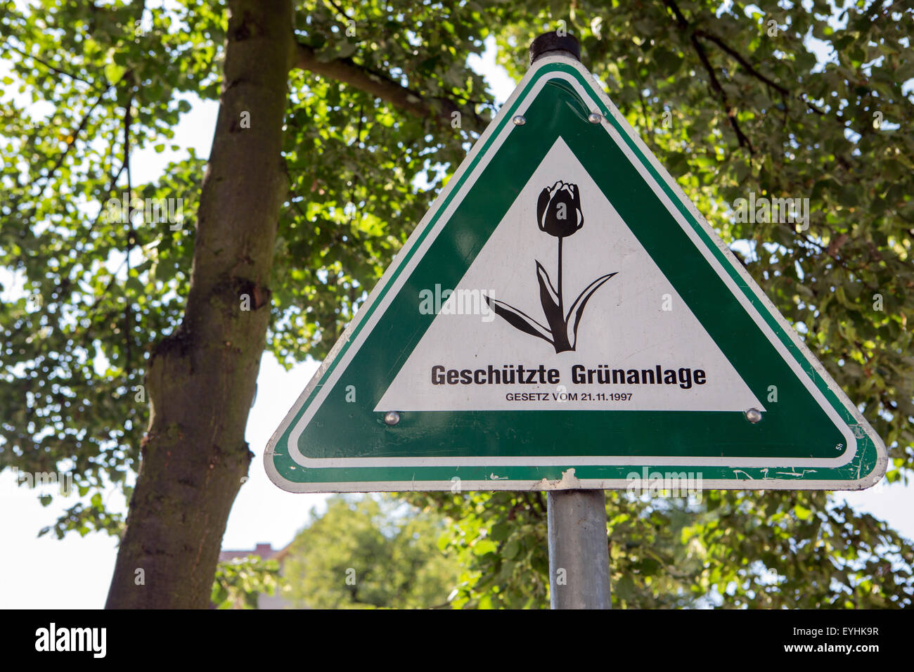 Berlino, Germania, scudo protetto pianta verde Foto Stock