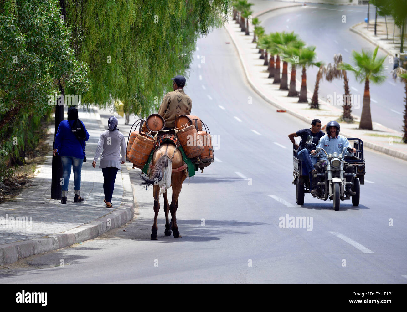 Varietà di trasporti in Marocco, Africa del Nord. Foto Stock