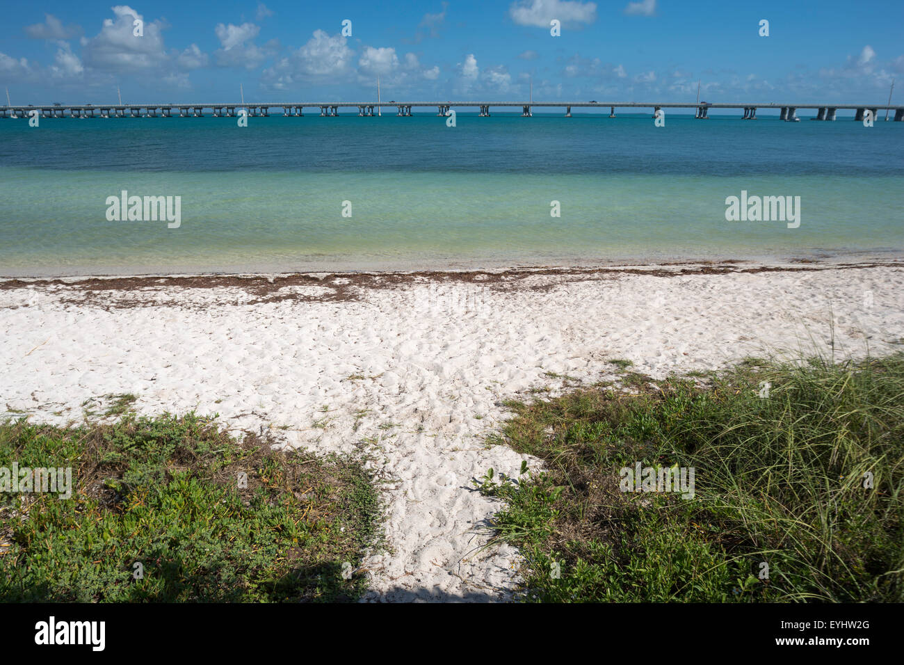 CALUSA spiaggia di Bahia Honda parco dello stato di Bahia Honda Key Florida USA Foto Stock