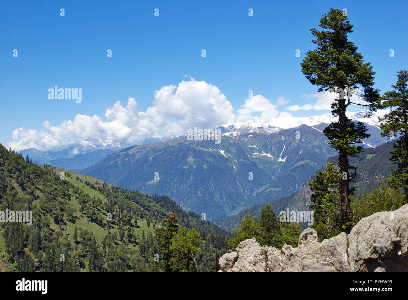 Paesaggio, Himachal Pradesh, India Foto Stock