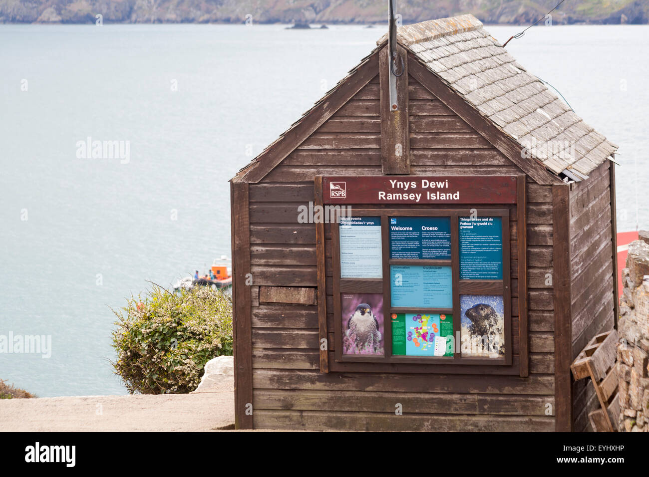 Informazioni RSPB su Ramsey Island su Lifeboat Station ufficio prenotazioni a St. Justinians, Pembrokeshire Coast National Park, Galles UK nel mese di maggio Foto Stock