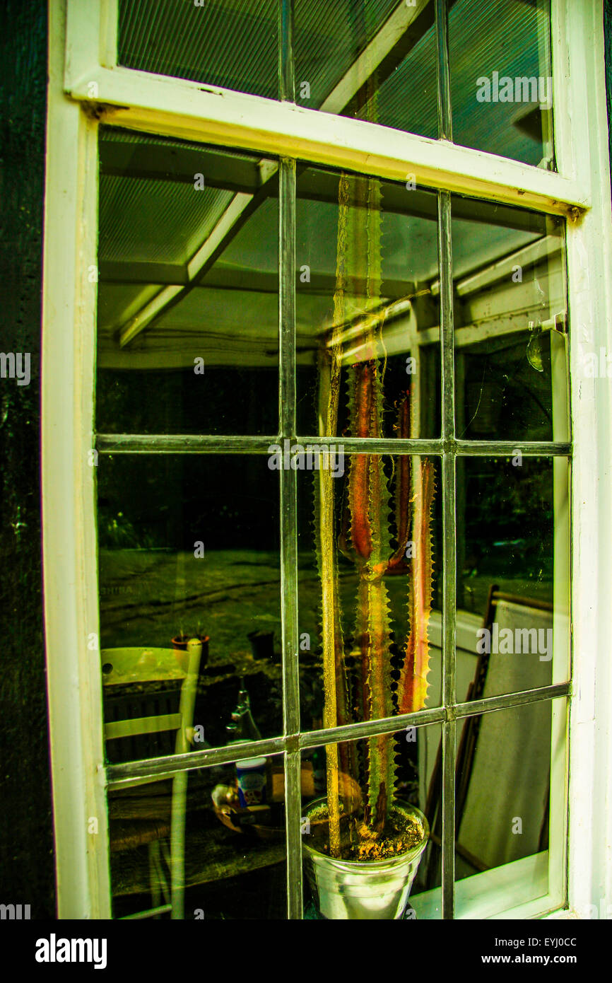 Una finestra di un edificio del XIX secolo country house NEL REGNO UNITO Foto Stock