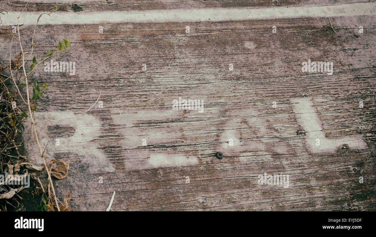 Rustico di legno verniciato di segno. Decadimento in elementi. Foto Stock