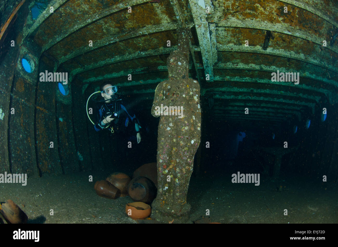 Un subacqueo ispeziona una statua situata all'interno del intenzionalmente assorbita reef artificiale noto come Kubu naufragio a Tulamben, Bali Foto Stock