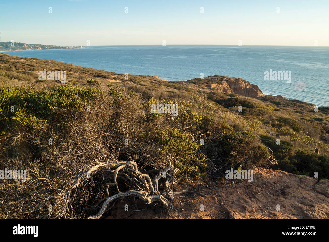 LaJolla e Oceano Pacifico da Torrey Pines State Park, California Foto Stock