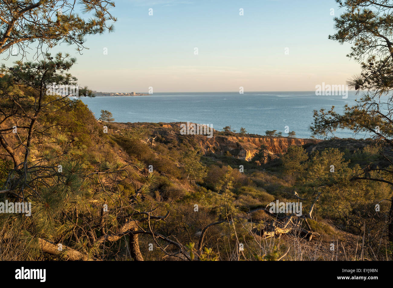 Scogliere e oceano Pacifico a Torrey Pines State Park, California Foto Stock