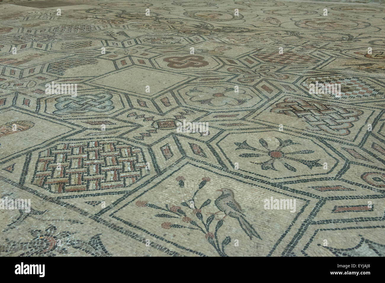 Gli scavi archeologici di Aquileia, Italia. Pavimento a mosaico nella Basilica. Foto Stock