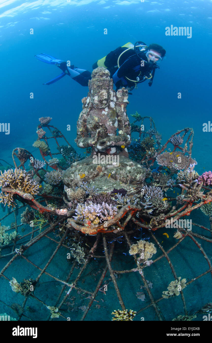 Un subacqueo guardando la statua della dea al Biorock progetto in Pemuteran, Bali, Indonesia, Oceano Pacifico Foto Stock