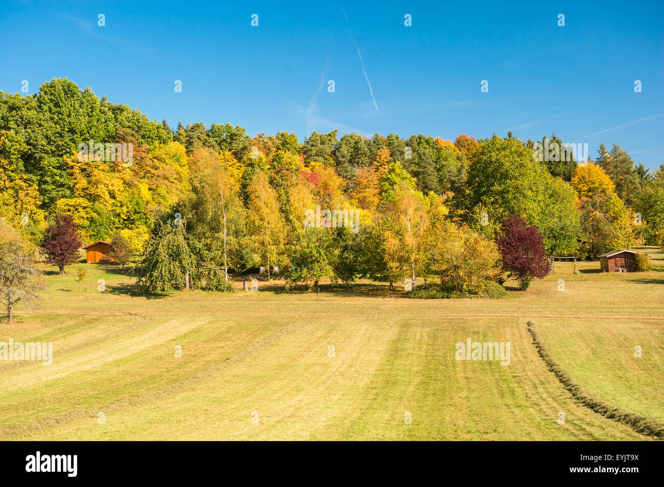 Bellissimo paesaggio autunnale con il rosso e il giallo alberi ver blue sky. Campagna Foto Stock