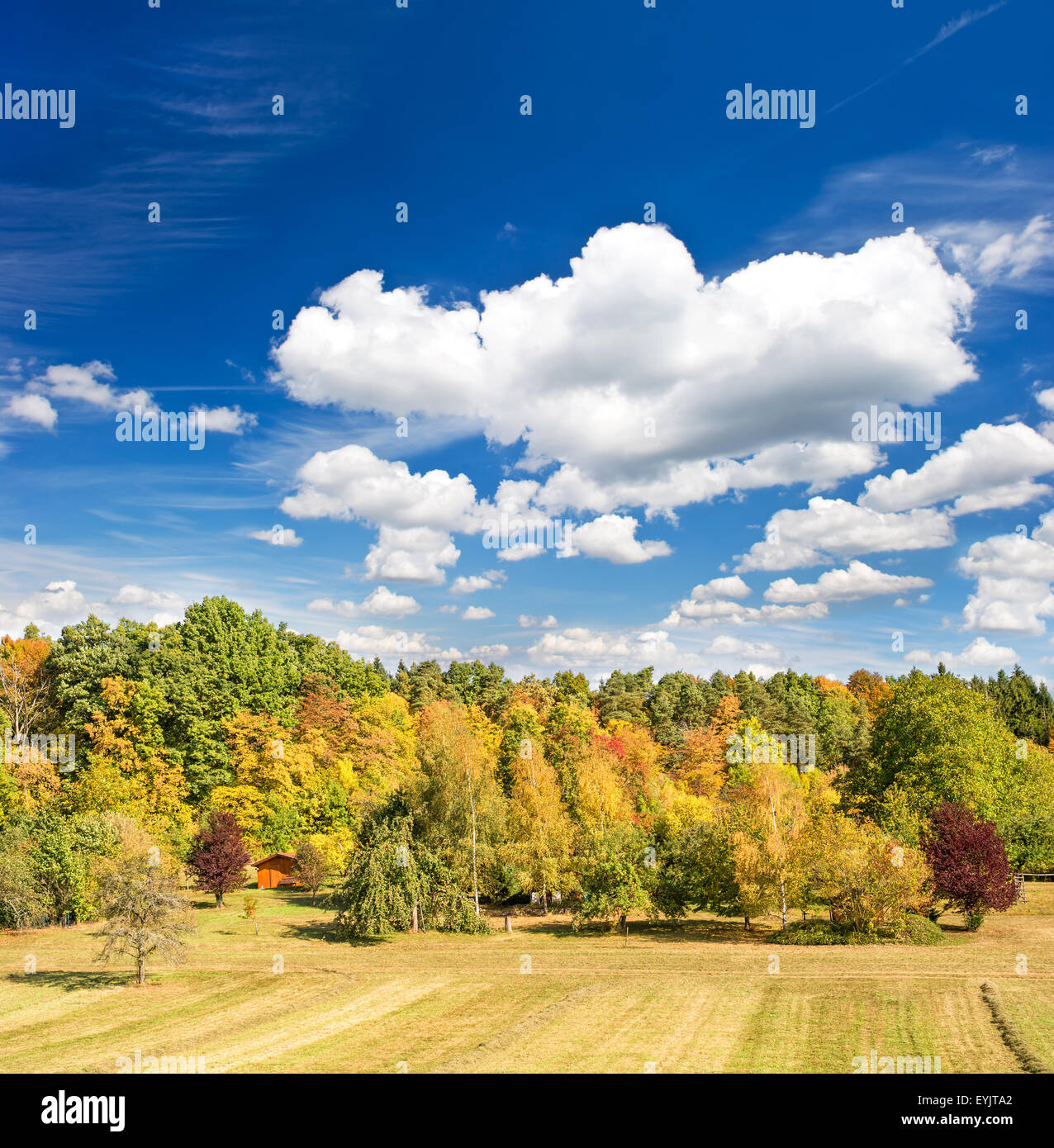 Bellissimo paesaggio autunnale con giallo rosso degli alberi e il blu del cielo Foto Stock