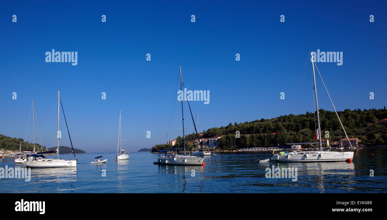 Europa, Croazia, Dalmacia provincia, isola di Korcula, mare adriatico, Vela Luka porto, Foto Stock