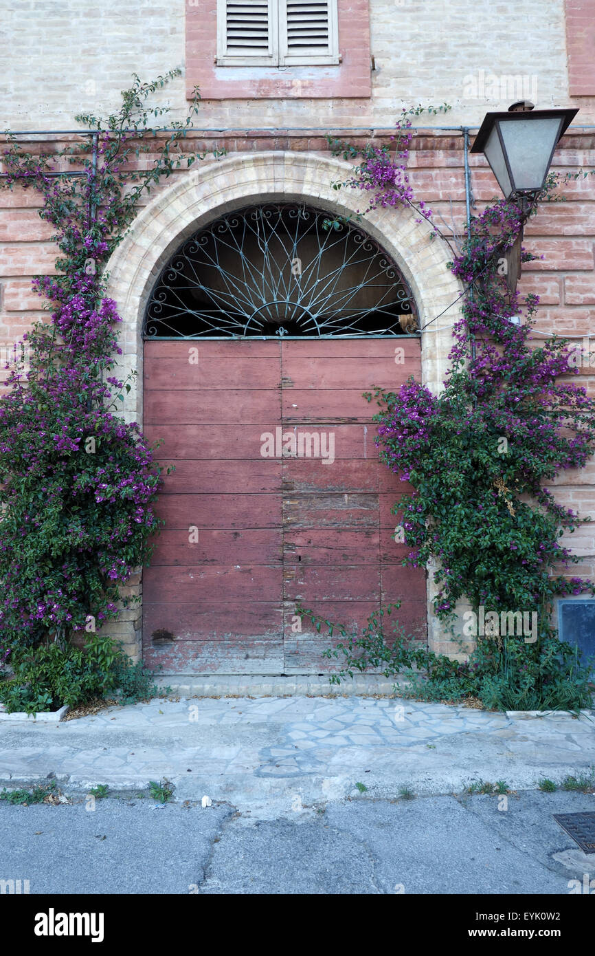 Porta di legno in archway circondato da una fioritura viola vine. Foto Stock