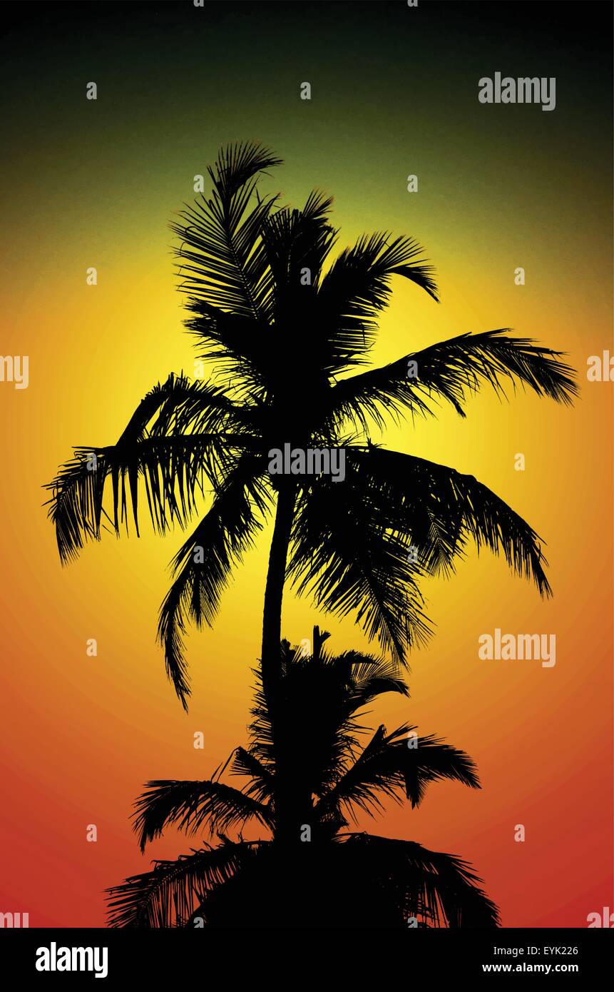 Tropicale coconut Palm tree top silhouette su un tramonto spettacolare sky. Illustrazione Vettoriale