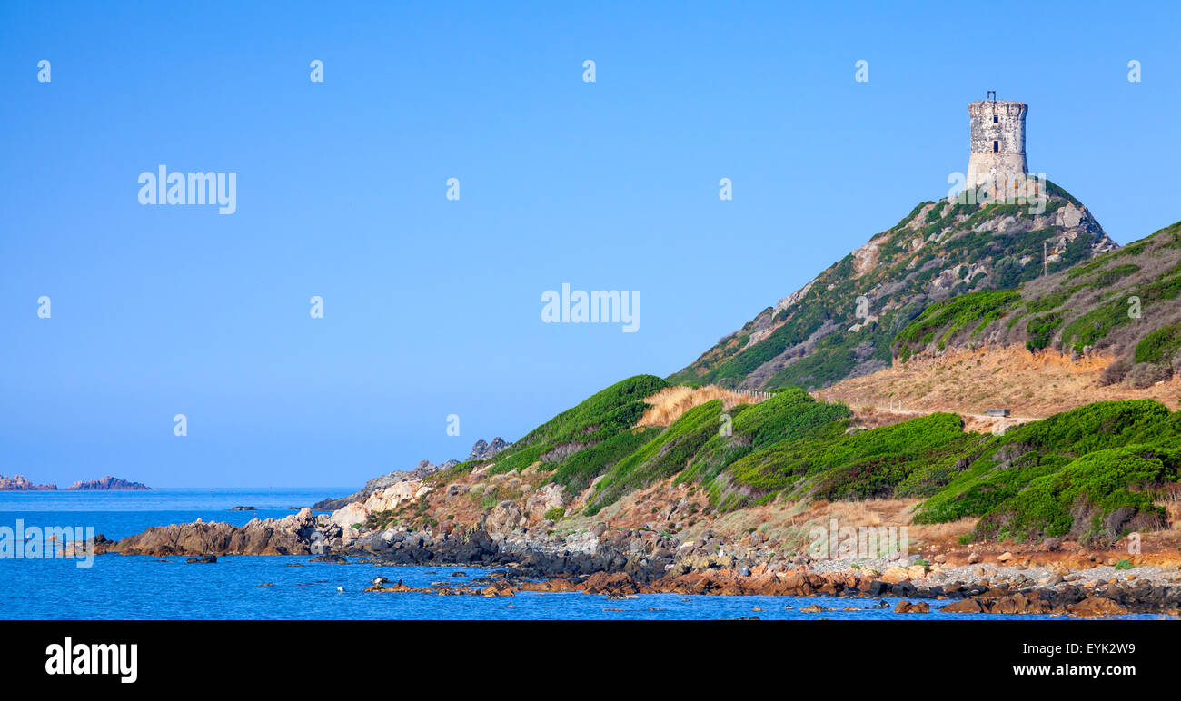 Antica torre genovese Parata sulla scogliera rocciosa vicino a Ajaccio, Corsica, Francia Foto Stock