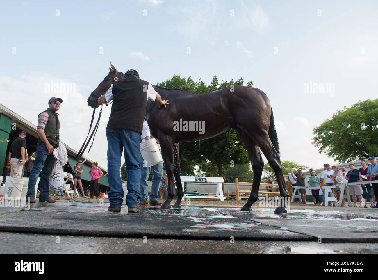 Oceanport, NJ, Stati Uniti d'America. Il 30 luglio, 2015. Triple Crown vincitore AMERICAN PHAROAH, addestrati da Bob Baffert è bagnata a Monmouth Park davanti a questa domenica di Haskell Invitational giovedì 30 luglio, 2015. © Bryan Smith/ZUMA filo/Alamy Live News Foto Stock