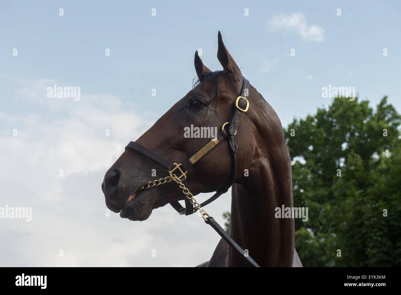 Oceanport, NJ, Stati Uniti d'America. Il 30 luglio, 2015. Triple Crown vincitore AMERICAN PHAROAH, addestrati da Bob Baffert è bagnata a Monmouth Park davanti a questa domenica di Haskell Invitational giovedì 30 luglio, 2015. © Bryan Smith/ZUMA filo/Alamy Live News Foto Stock