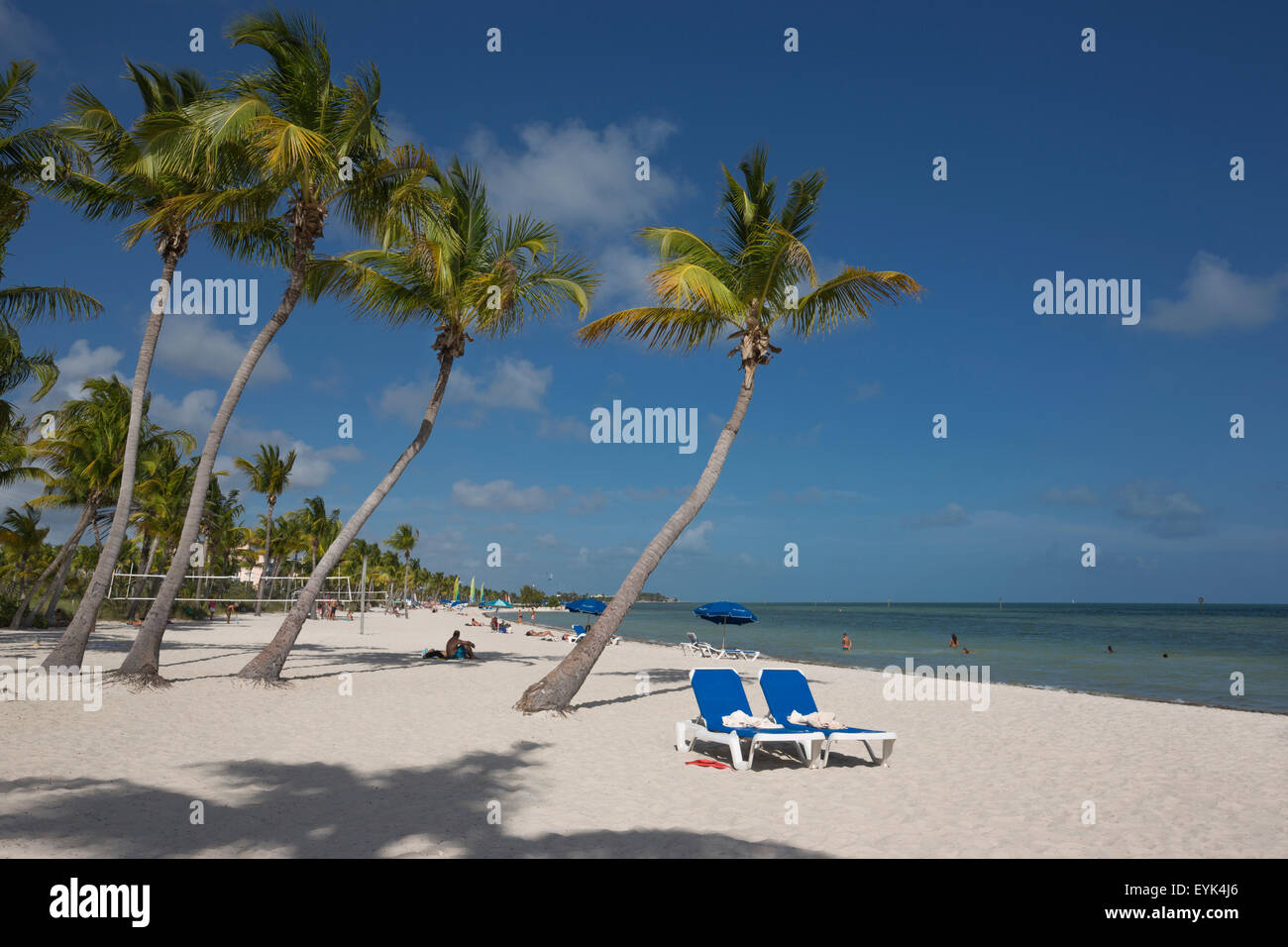 Palme SMATHERS BEACH Key West Florida USA Foto Stock