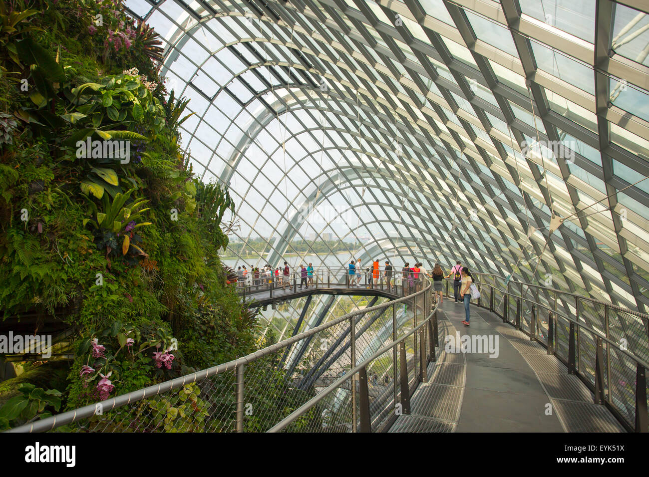 SINGAPORE - GIUGNO 21,2015: la maestosa Foresta Nuvolosa cupola che è parte di giardini dalla baia di Bayfront, Singapore. Foto Stock