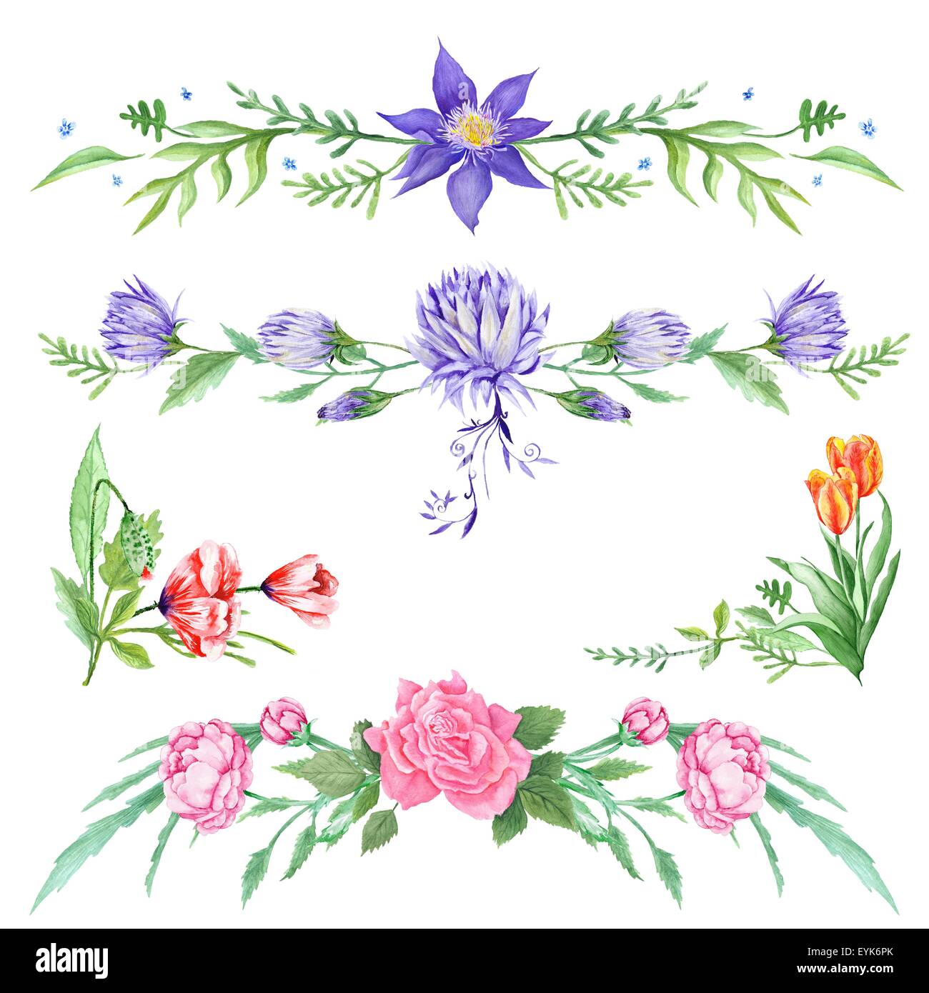 Dipinte a mano e illustrazioni botaniche romantico con dipinti di fiori Foto Stock