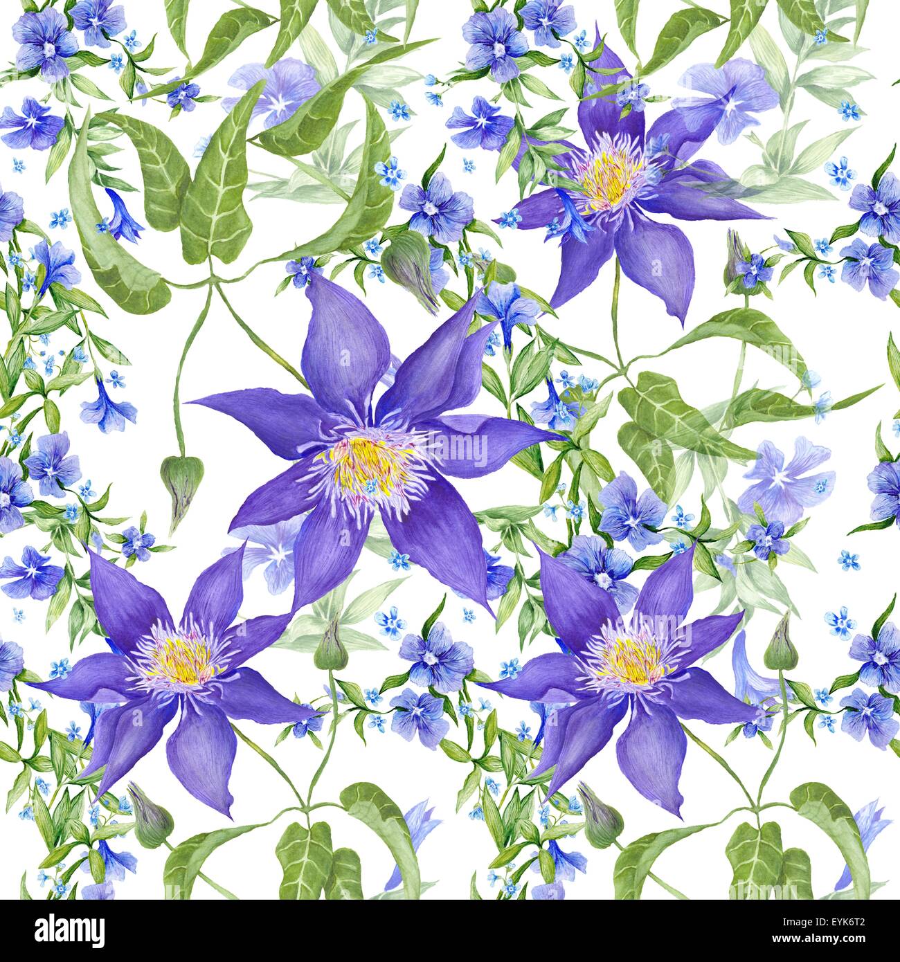 Acquerello seamless texture con fiori da giardino - pervinca e clematis su sfondo bianco Foto Stock