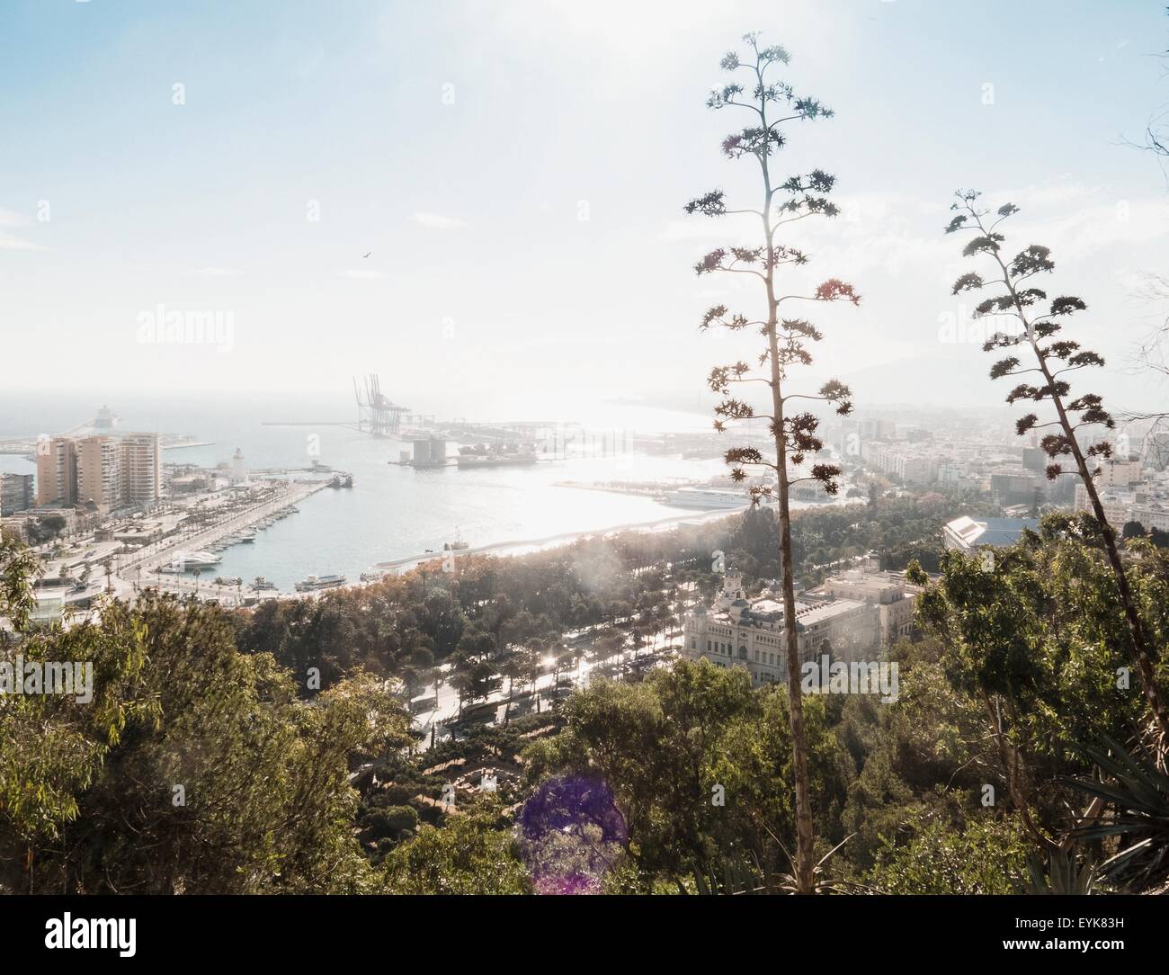 Vista in elevazione della città, Malaga, Spagna Foto Stock