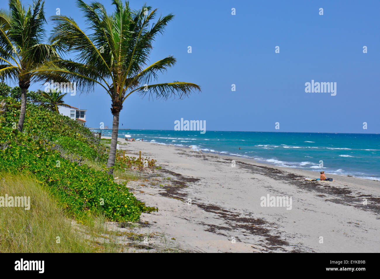 Vista panoramica di tropicale spiaggia di Fort Lauderdale, Florida, Stati Uniti d'America che mostra l'oceano, un paio di bagni di sole e di palme. Foto Stock