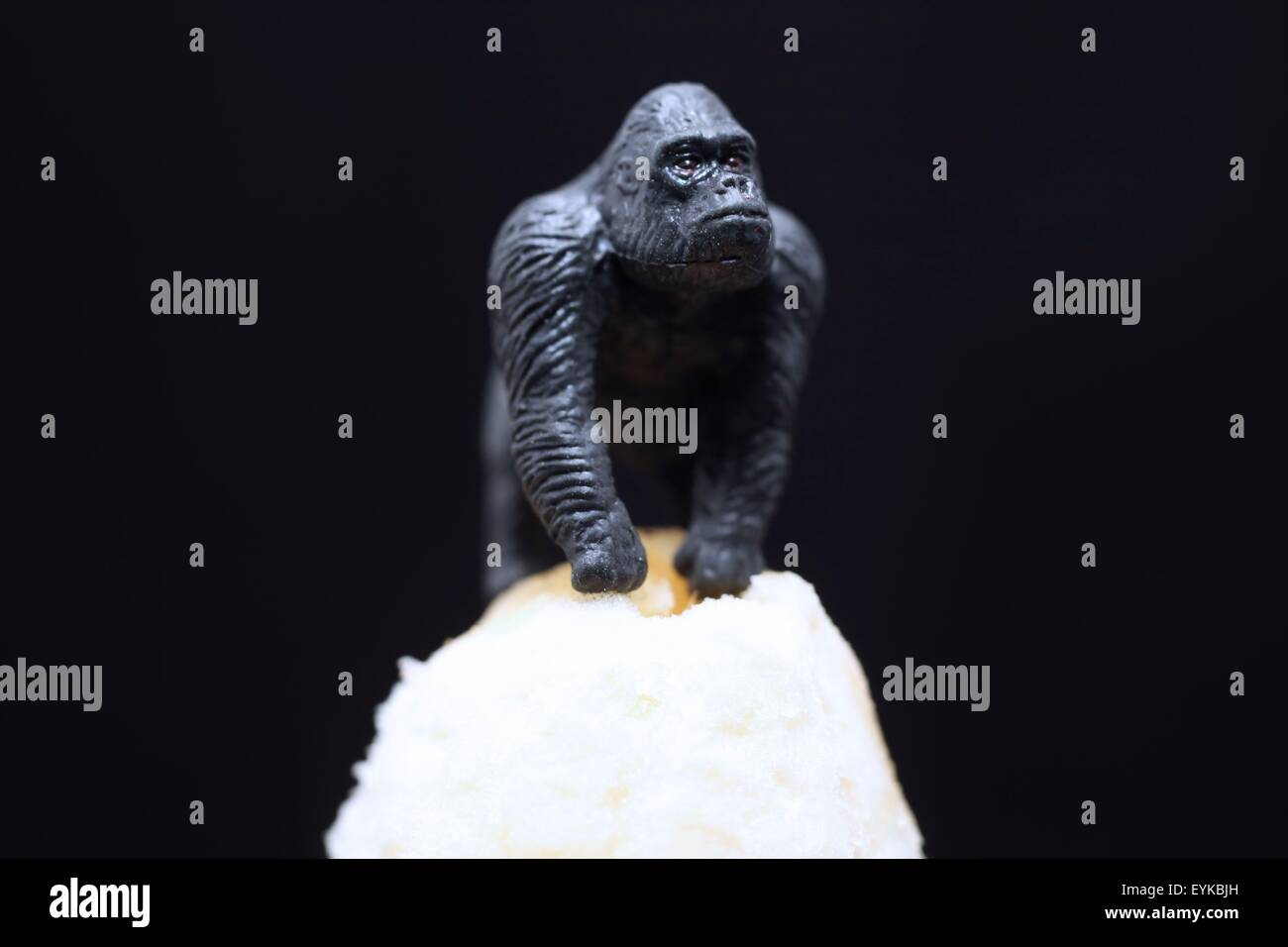 Argento in miniatura torna gorilla seduto sulla punta di BANANNA Foto Stock