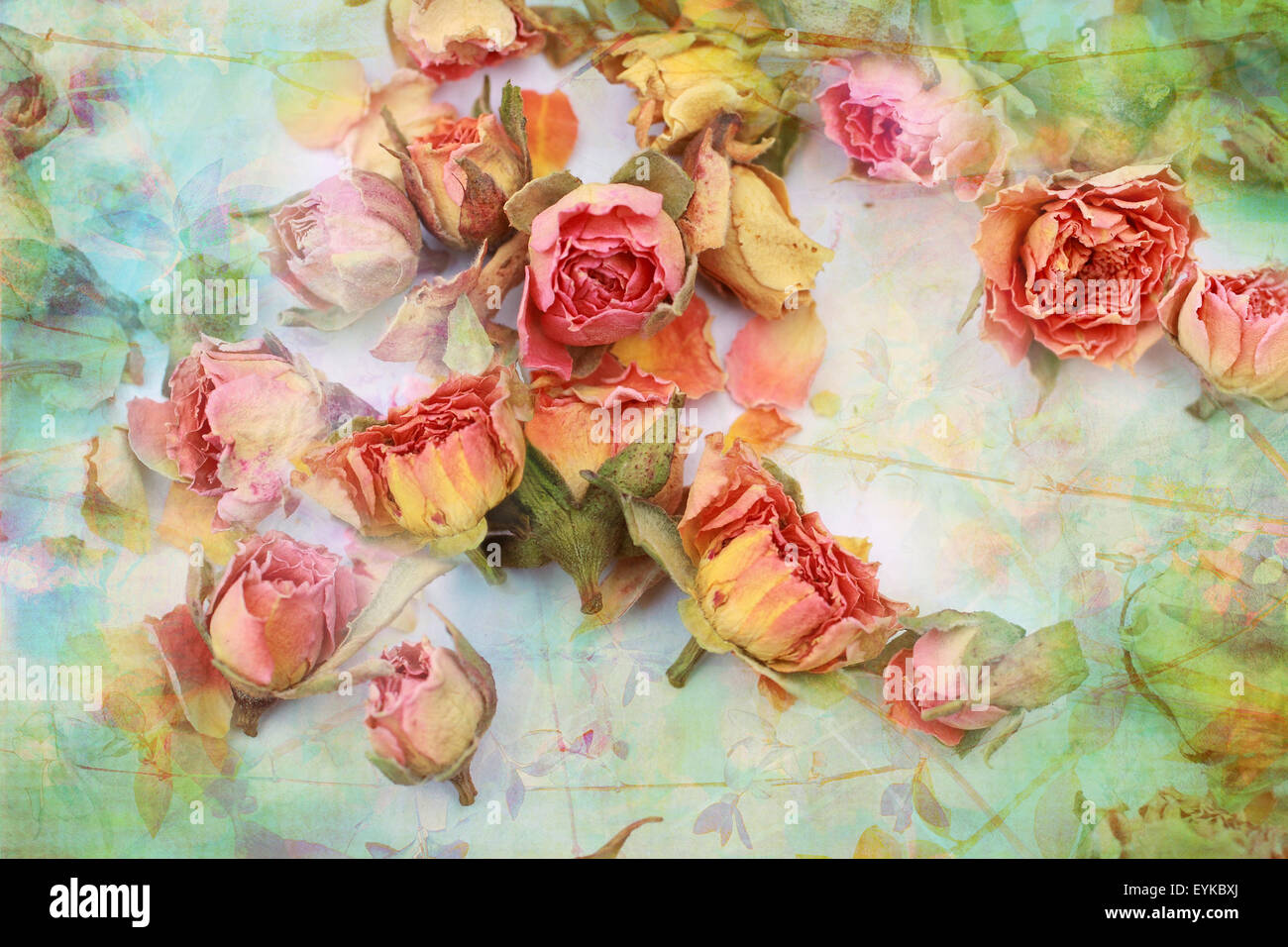 Asciugare le rose belle artistico sfondo vintage Foto Stock