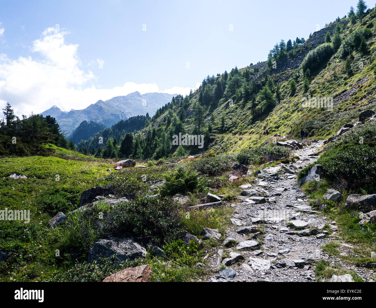 Escursionismo sul Monte Patscherkofel, nei pressi di Innsbruck, in Tirolo, Austria Foto Stock