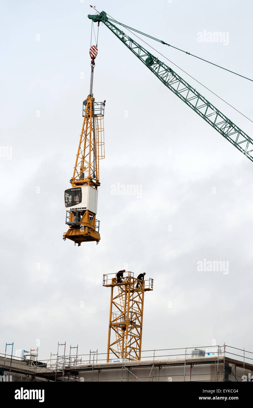 Ingegneri lo smontaggio della gru a torre Foto Stock