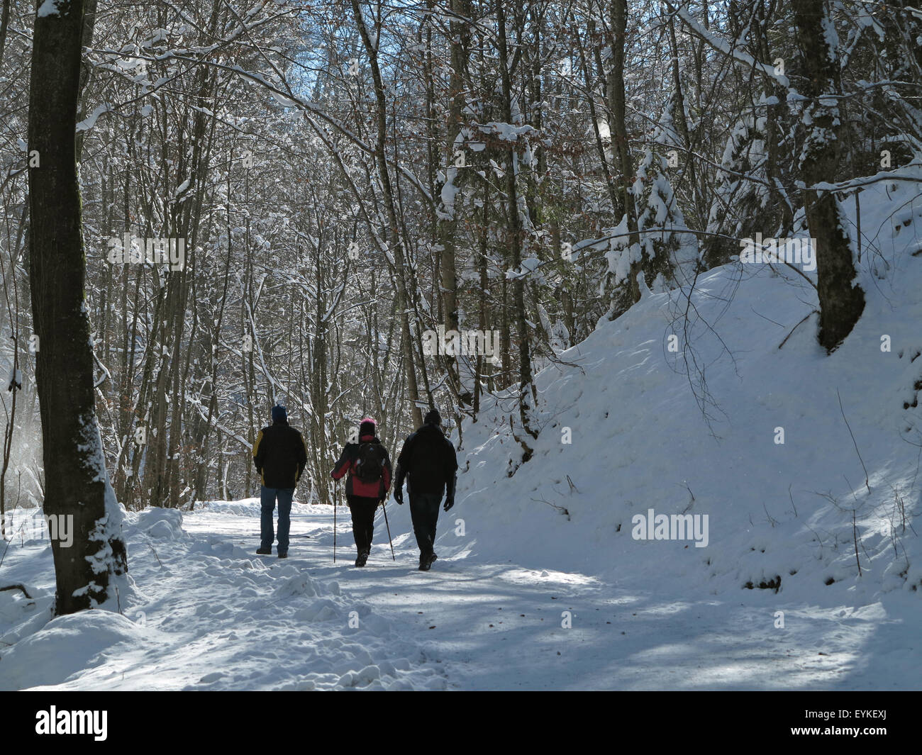 In Germania, in Baviera, il sentiero per il chiostro di Andechs, Foto Stock
