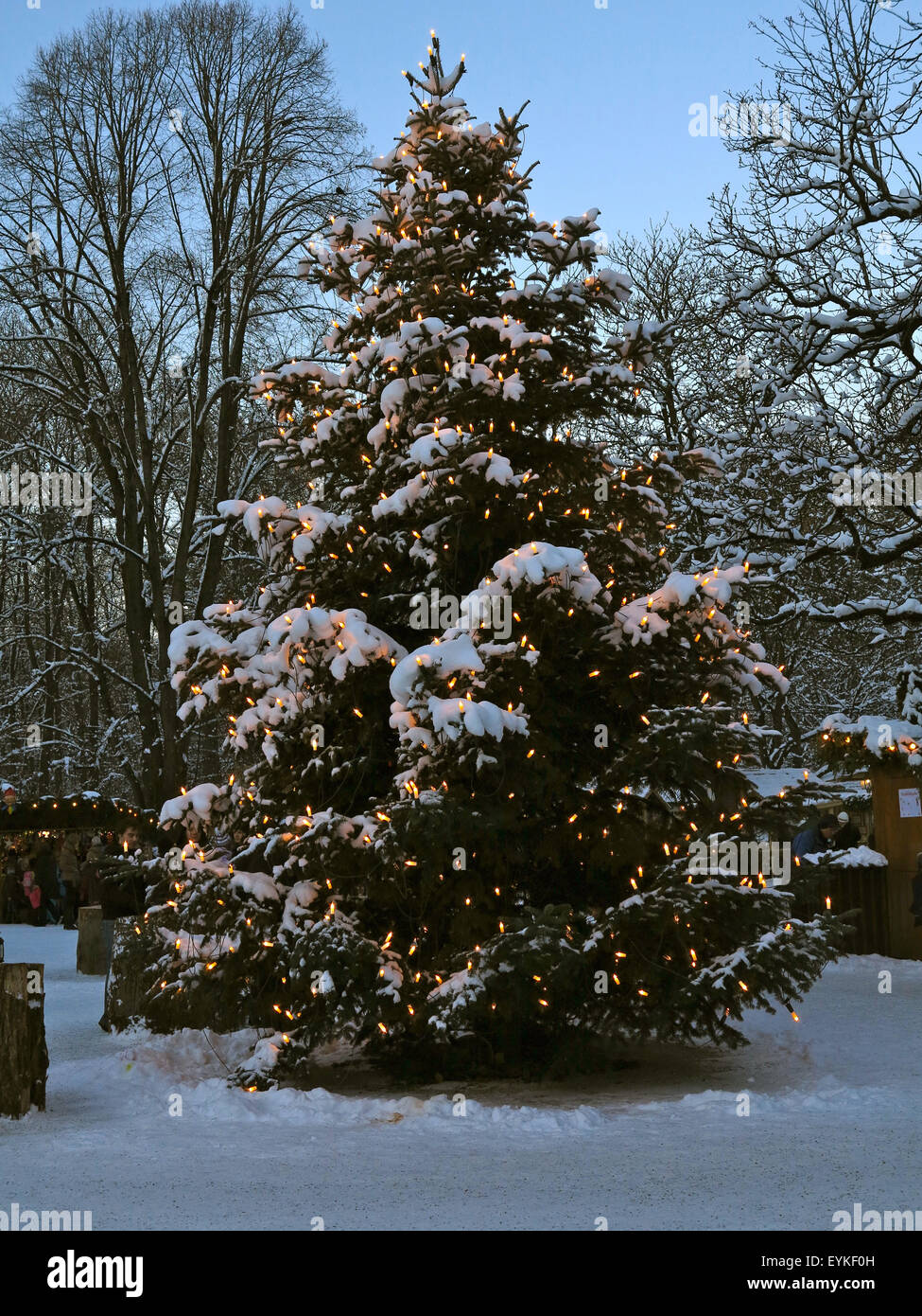 In Germania, in Baviera, Monaco di Baviera, il Giardino Inglese fiera di Natale a torre cinese, Foto Stock