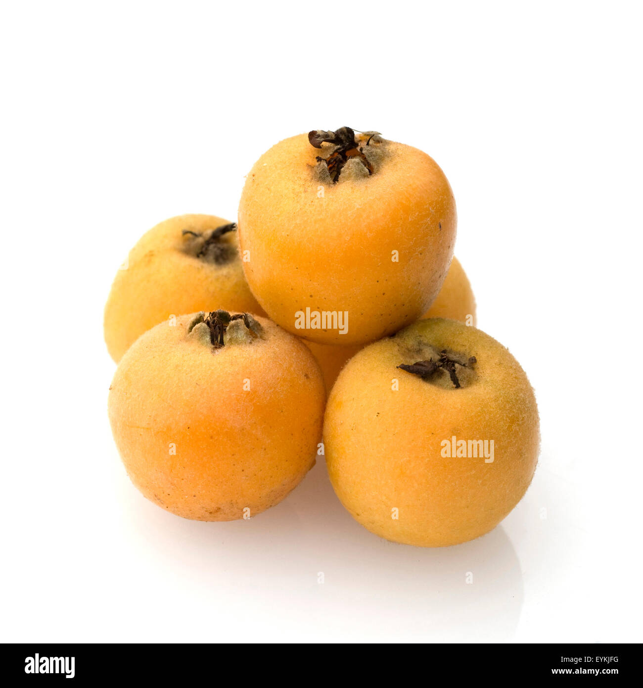 Wollmispel, Suedfrucht, Japanische Wollmispel, Eriobotrya japonica, Exotische Frucht, exotische Fruechte, Heilpflanzen, Fruechte Foto Stock