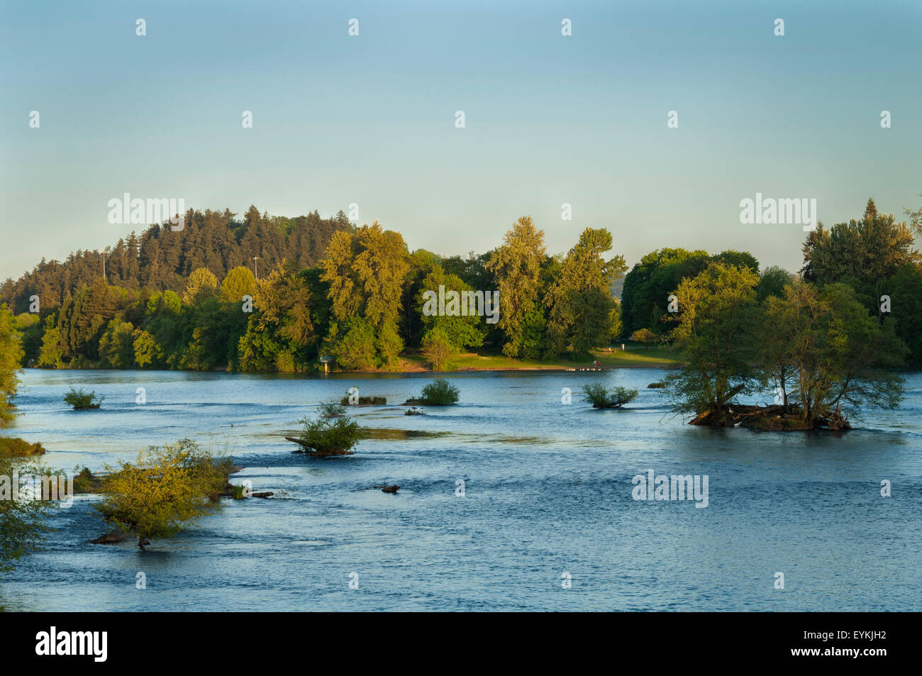 Willamette River Greenway e Skinner Butte Park, Eugene, Oregon. Foto Stock