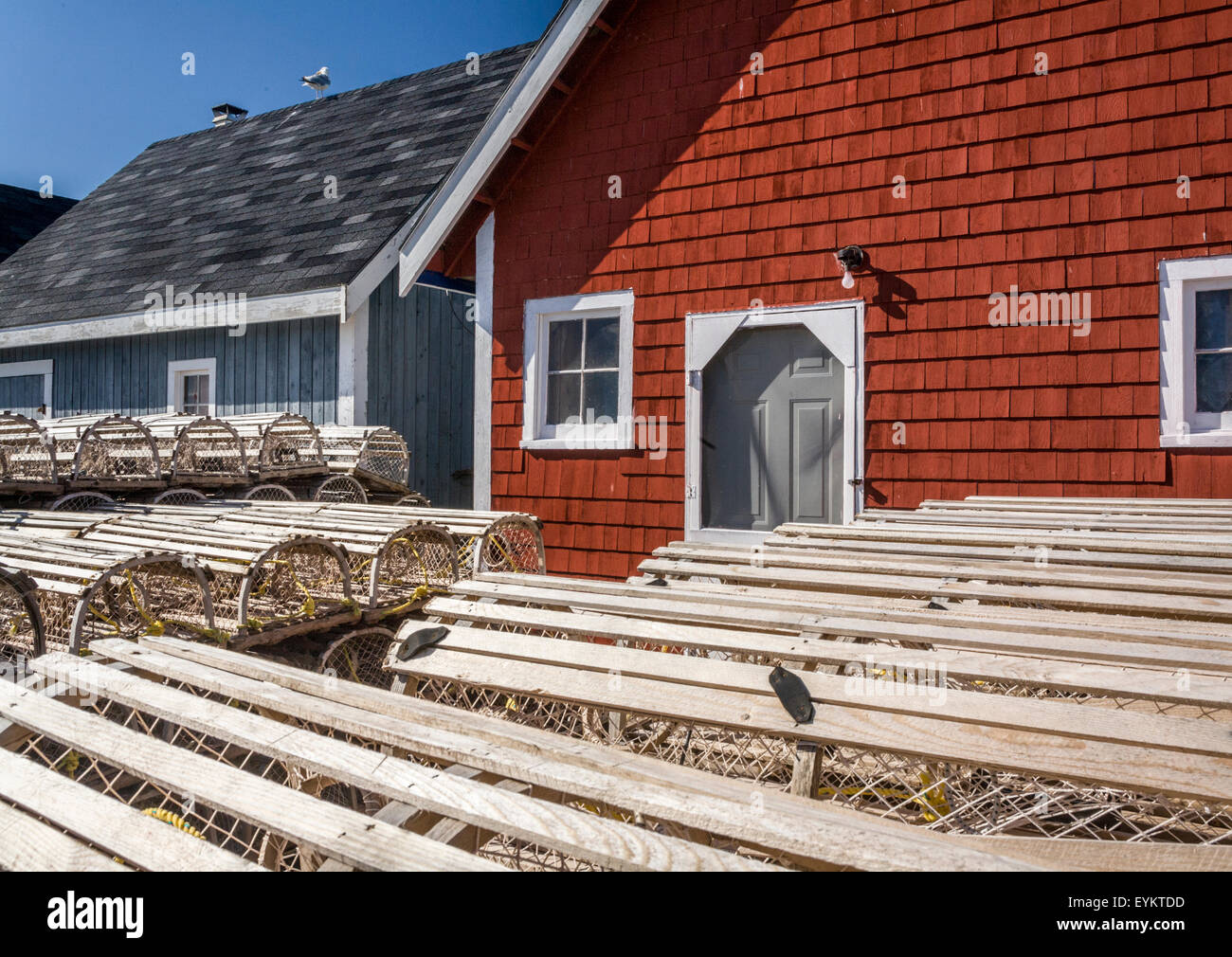 Le trappole a base di aragosta e pesca capannoni nel nord Rustico Harbour, Prince Edward Island, Canada Foto Stock