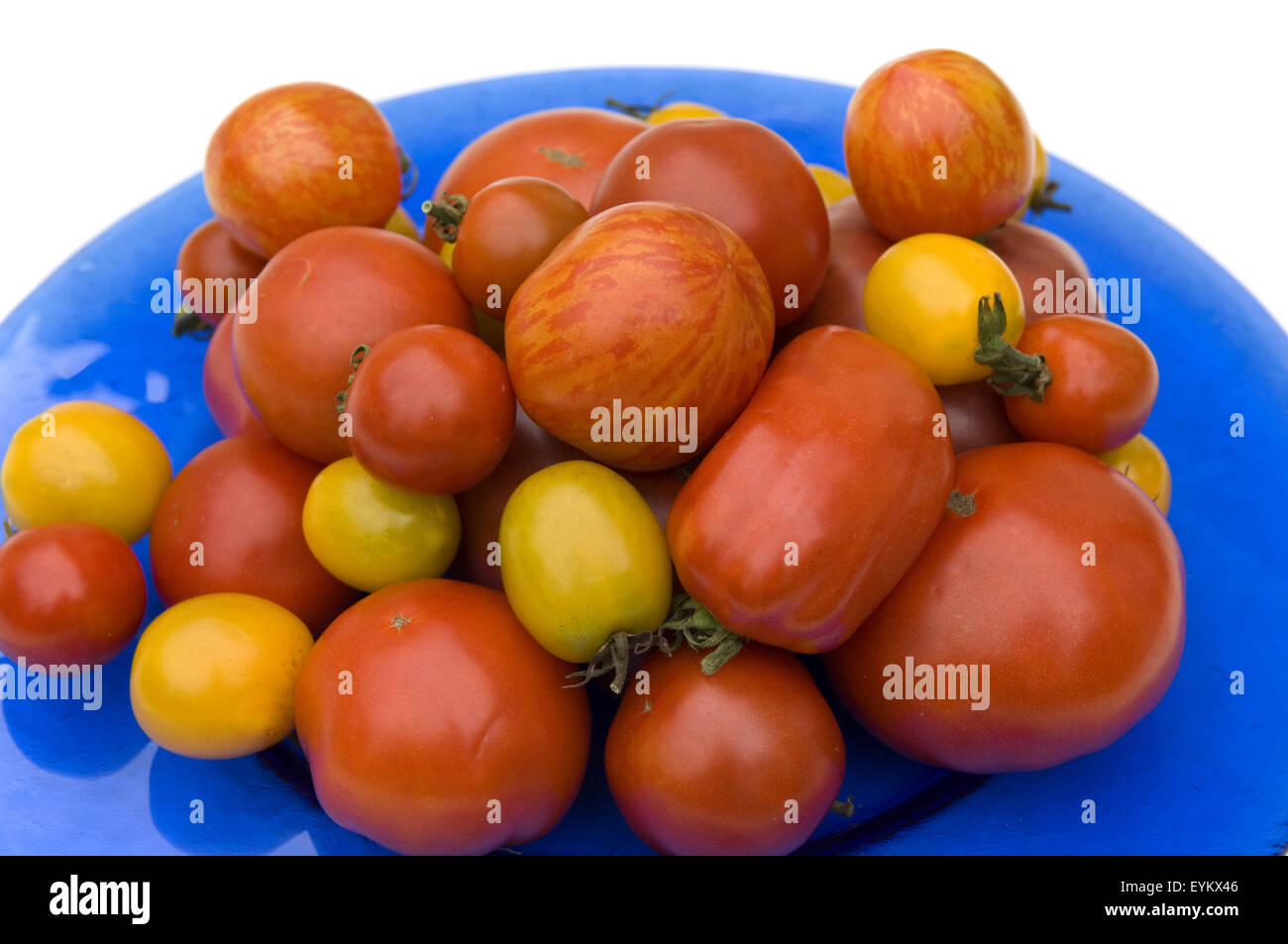 Tomaten; Lycopersicon esculentum Foto Stock