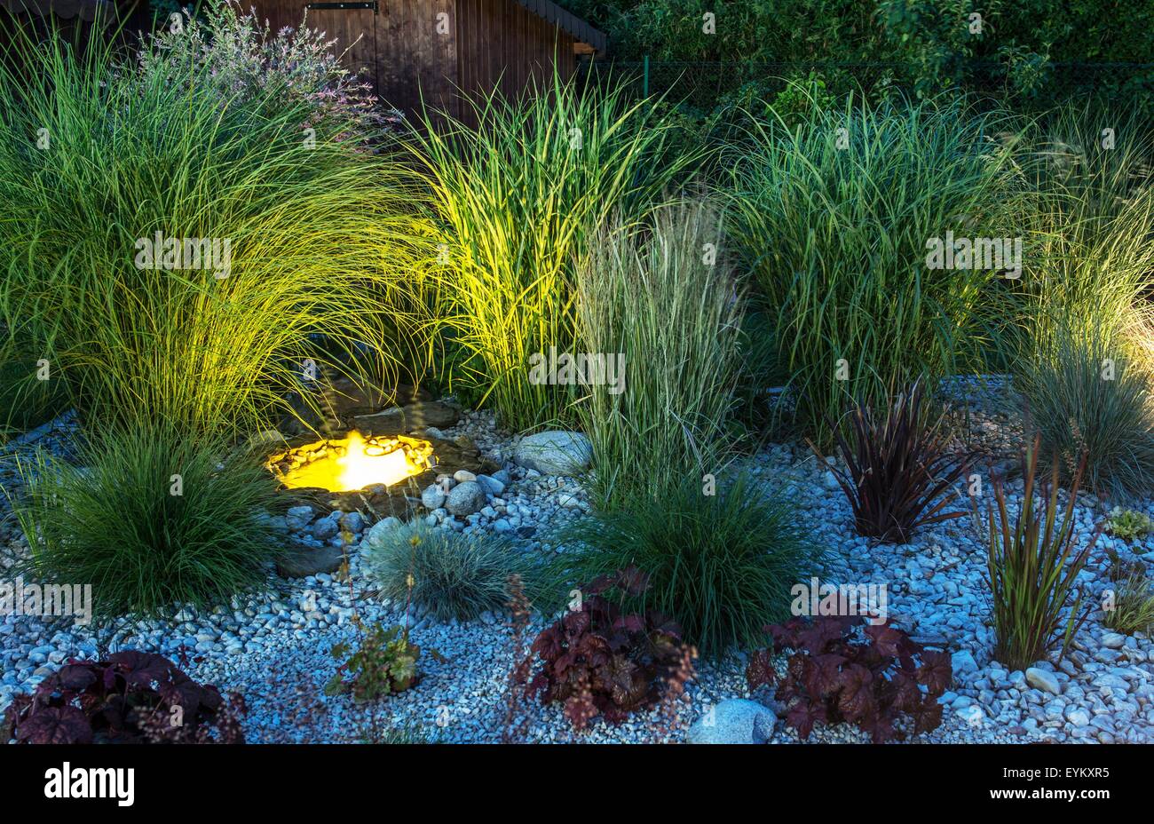 Il giardino sul retro illuminazione. Piccolo giardino con laghetto  illuminato Foto stock - Alamy