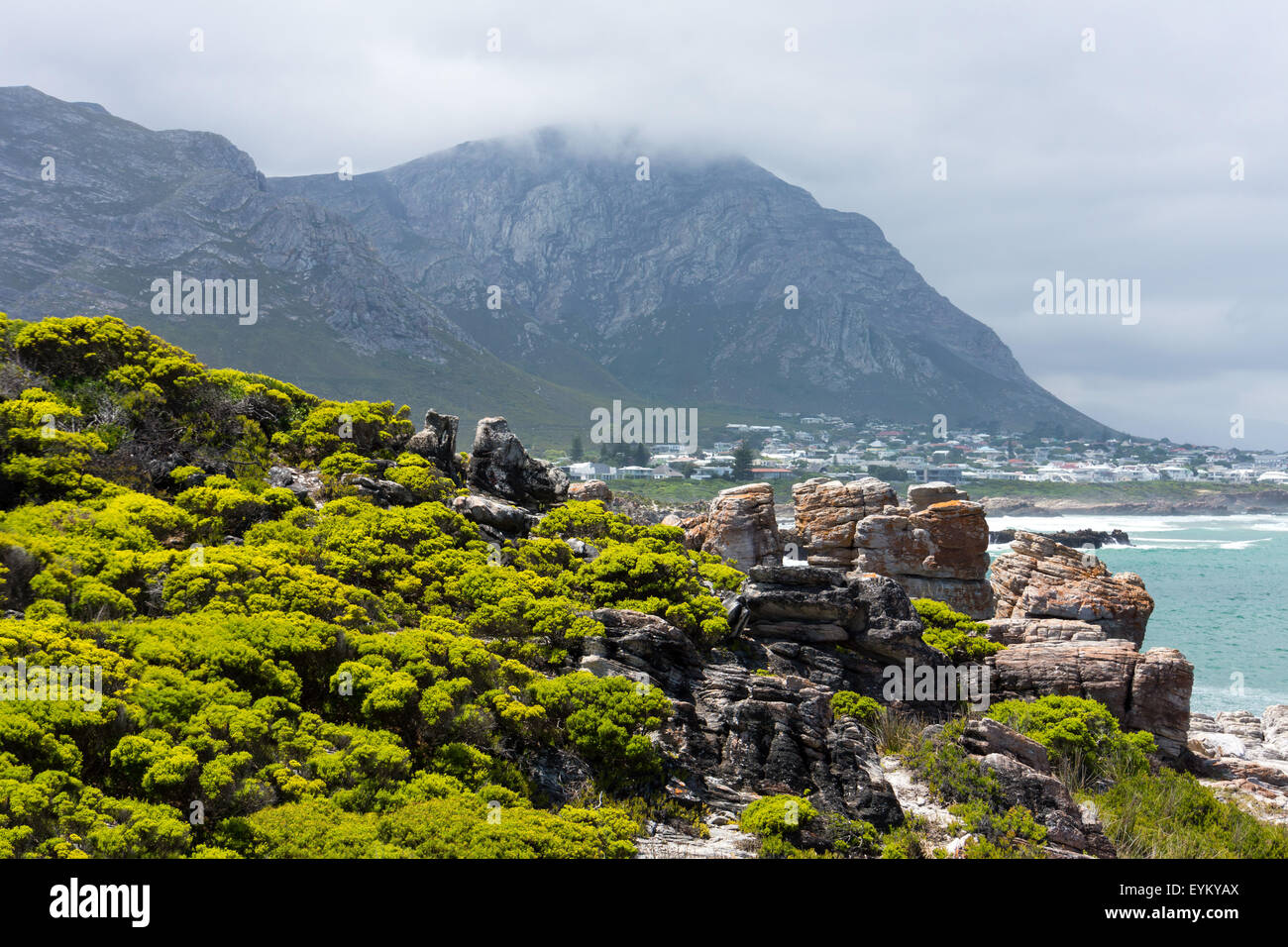 Sud Africa, protezioni percorso, Hermanus, Foto Stock