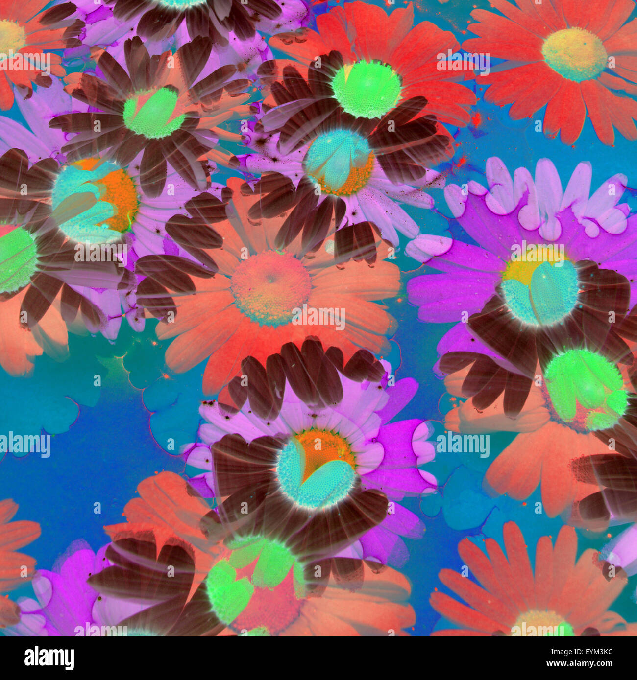 La composizione di fiori colorati, Foto Stock