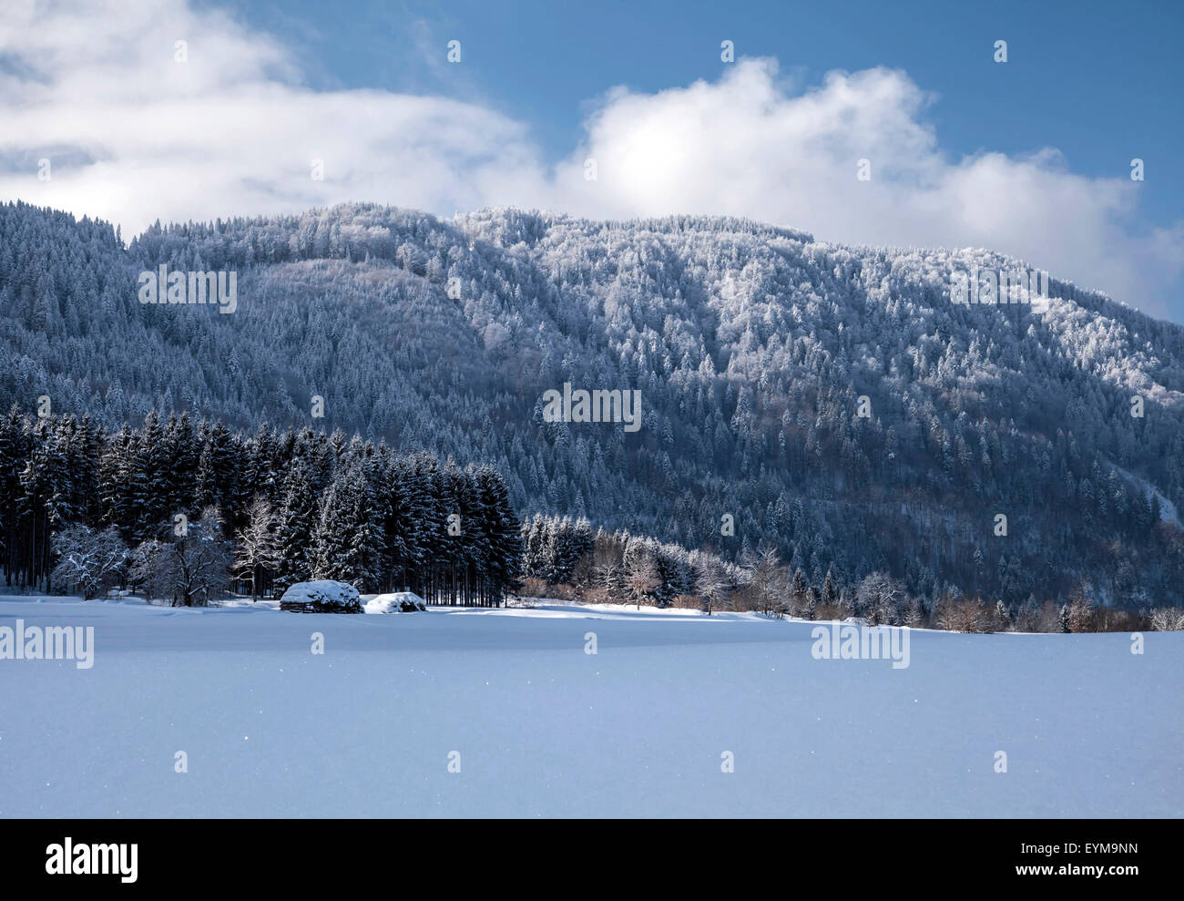 Winterlandschaft am Dreiländereck bei Arnoldstein, Kärnten, Österreich Foto Stock