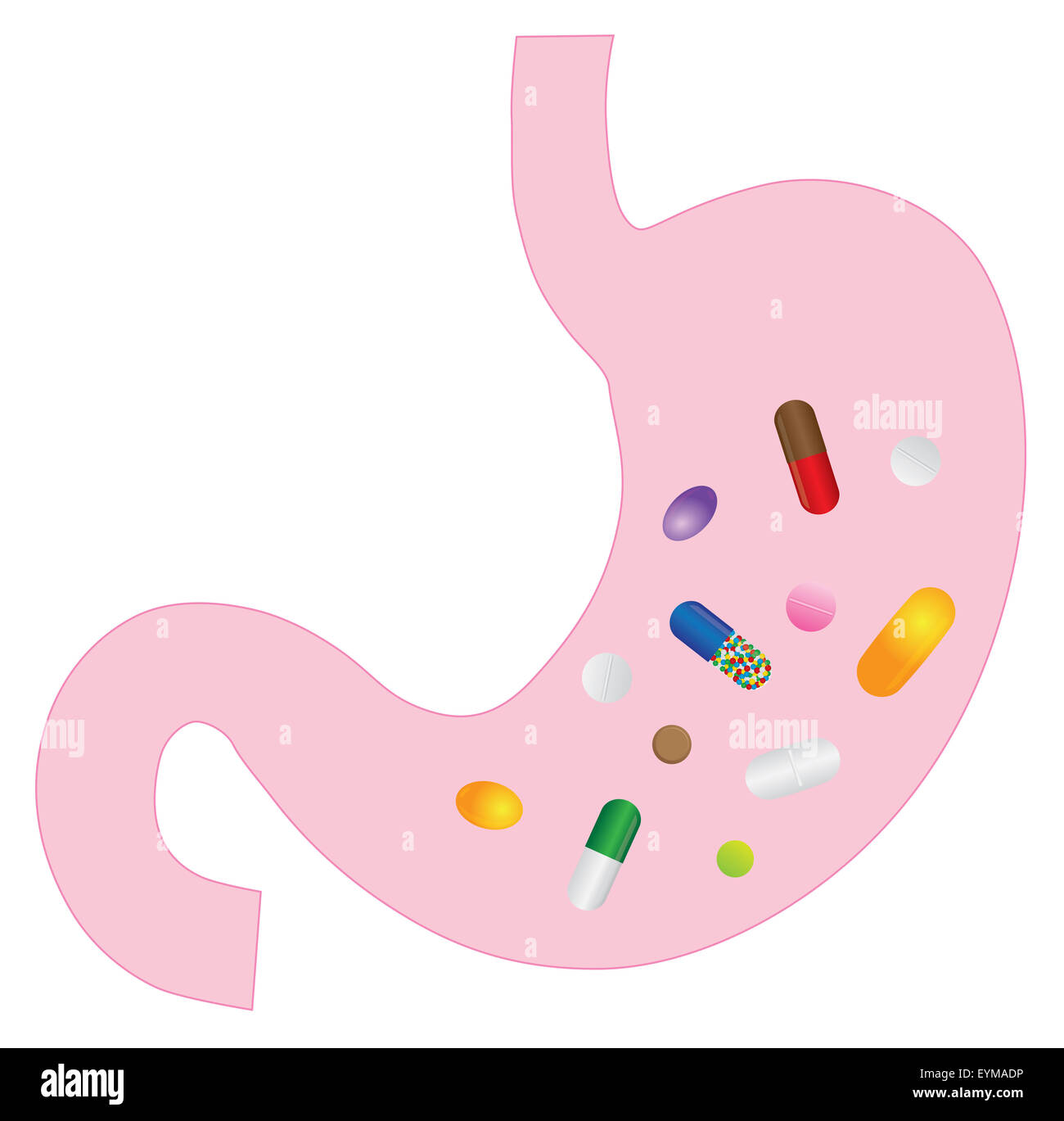 Stomaco umano anatomia con farmaci vitamine pillole farmaci capsule Illustrazione a colori Foto Stock