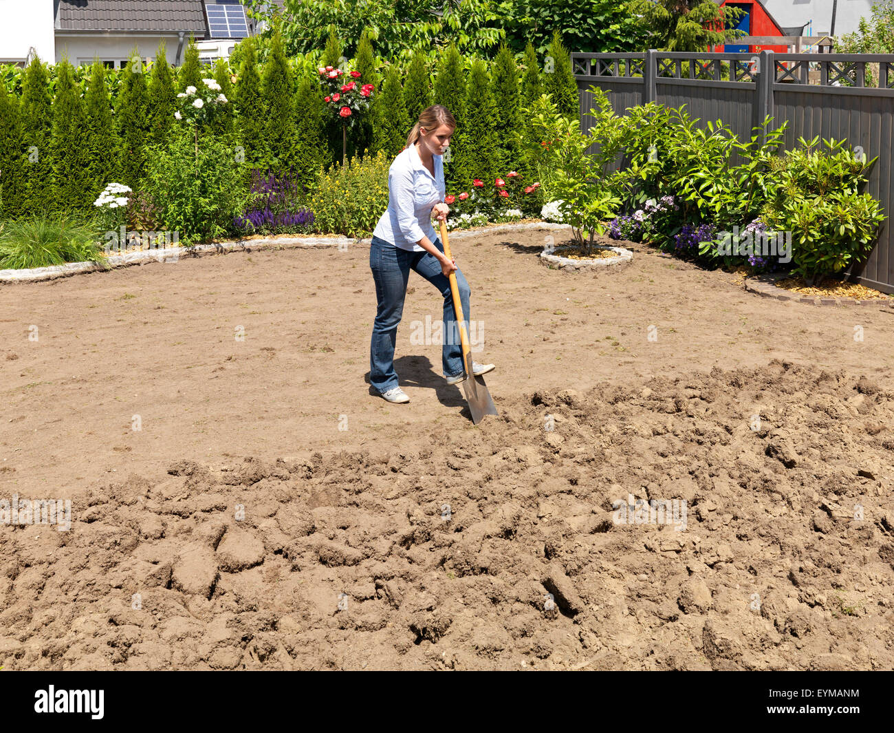 Turf, laici, giardino, donna, spade, dig Foto Stock