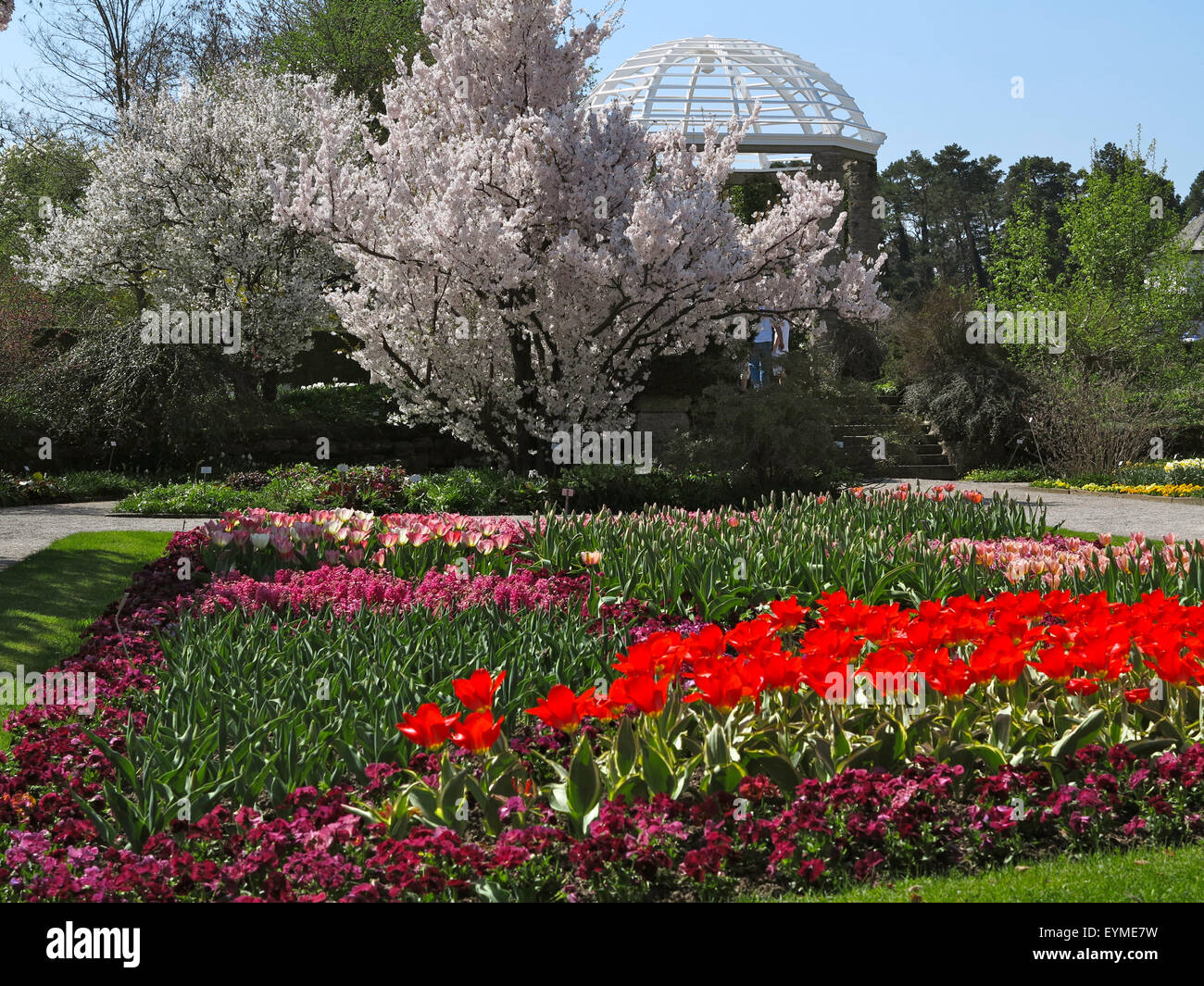 In Germania, in Baviera, Monaco di Baviera, Schloss Nymphenburg (il palazzo di Nymphenburg), giardino botanico Foto Stock