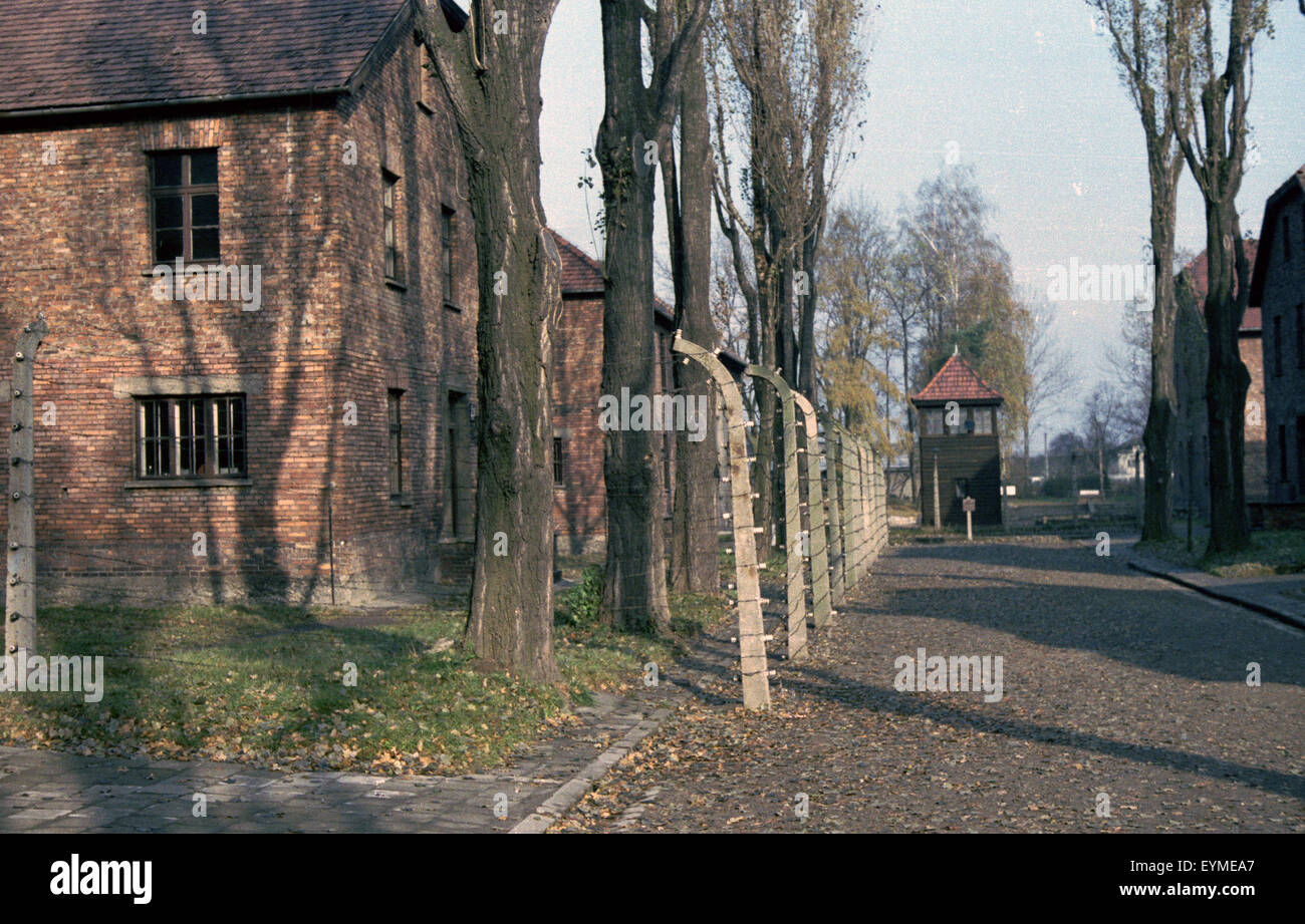 Edifici di Auschwitz Foto Stock