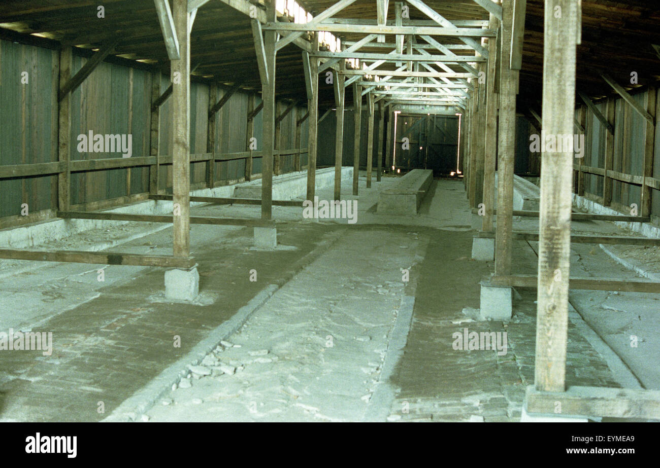 All'interno di caserme Auschwitz Birkenau Foto Stock