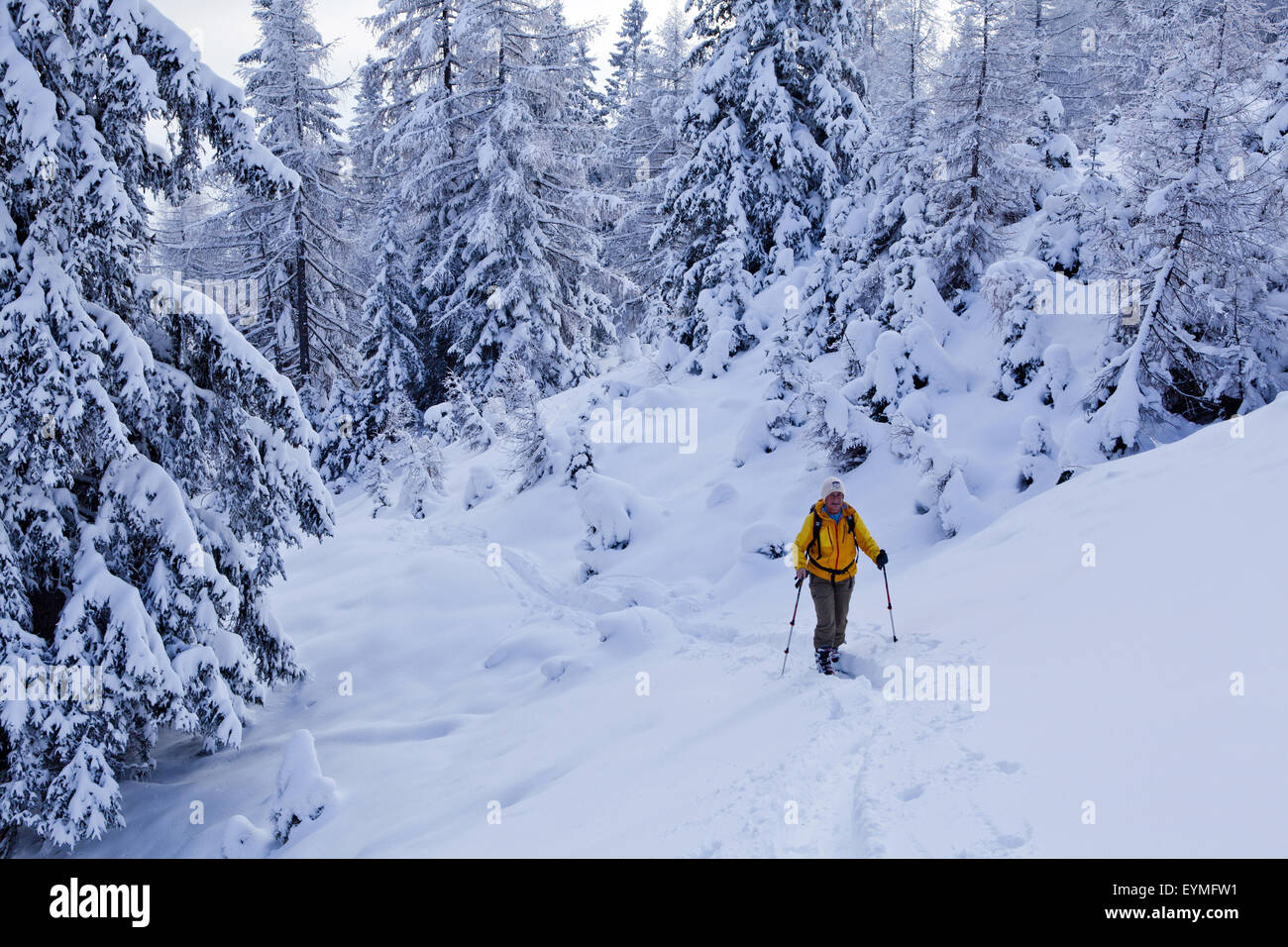 Femmina alpinista di sci in inverno forest Foto Stock